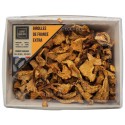 Chanterelle